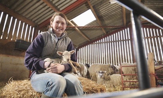 Female farmer holding young lamb